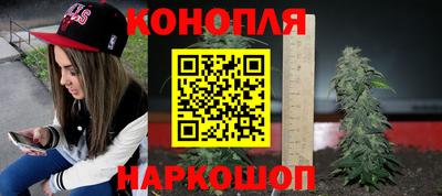 прущие крисы Шелехов
