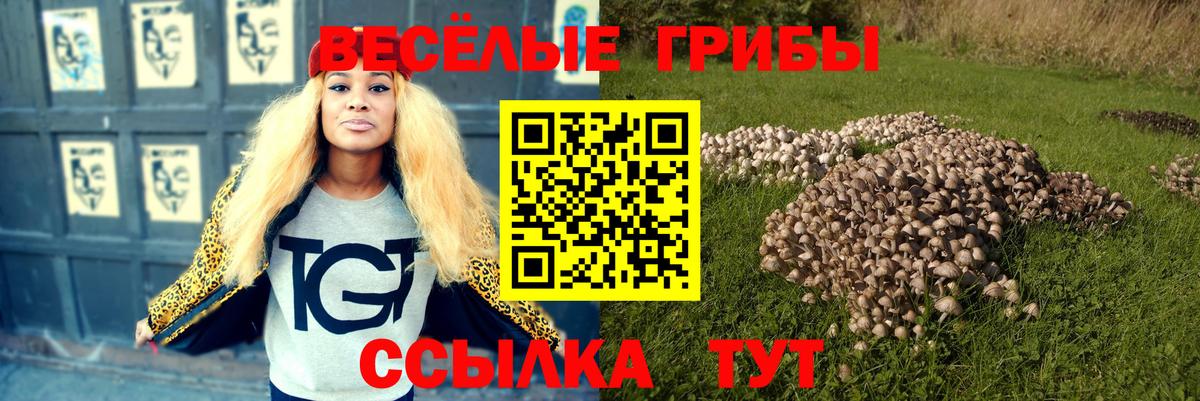 Псилоцибиновые грибы Psilocybe  купить наркотики цена  Большой Камень  Вход с VPN 