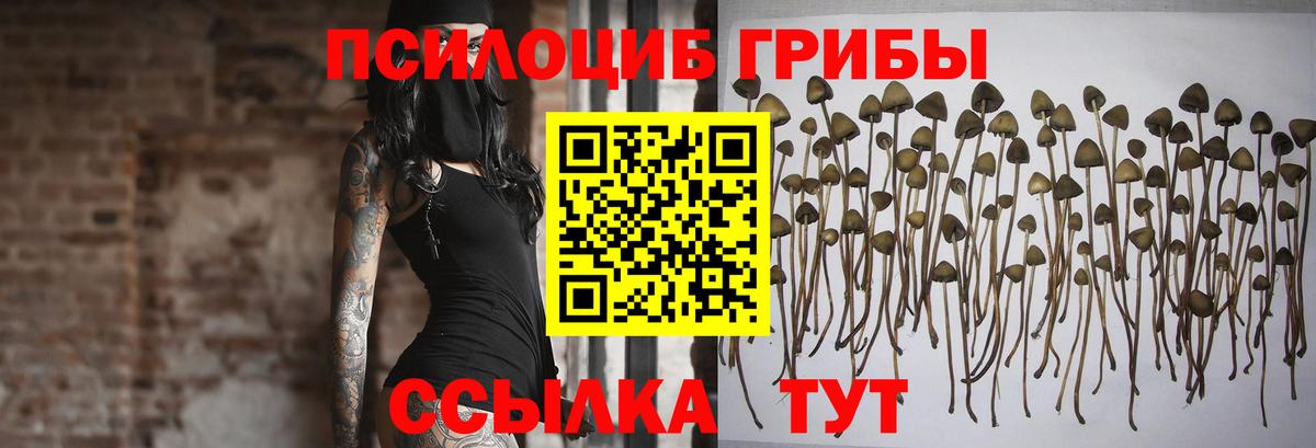 Псилоцибиновые грибы ЛСД Большой Камень