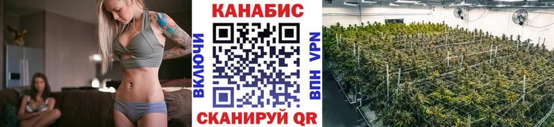 где купить наркотик  Большой Камень  Каннабис MAZAR 